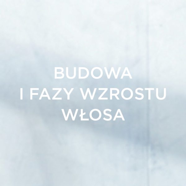 Budowa i fazy wzrostu włosa