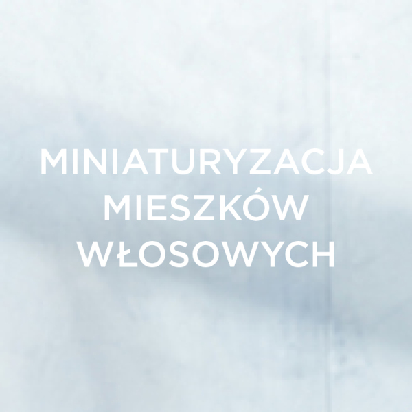 Miniaturyzacja mieszków włosowych