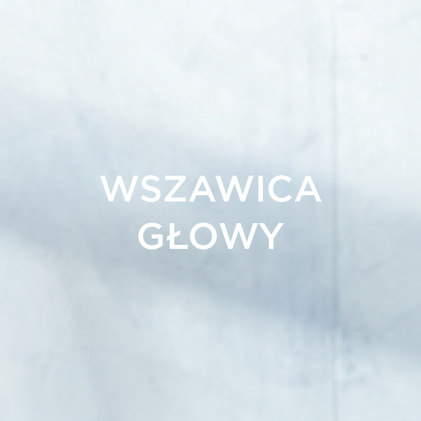 Wszawica głowy, objawy rozpoznanie leczenie